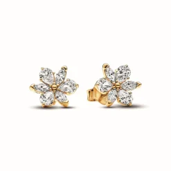 Clous d’Oreilles Herbier Scintillant