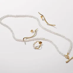 Clous d’Oreilles Ligne Organique
