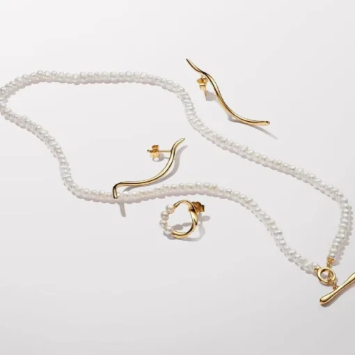 Clous d’Oreilles Ligne Organique