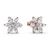 Clous d’Oreilles Pandora Timeless - Herbier Scintillant