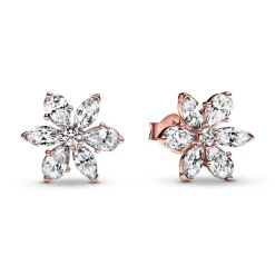 Clous d’Oreilles Pandora Timeless - Herbier Scintillant