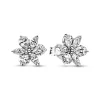 Clous d’Oreilles Pandora Timeless - Herbier Scintillant