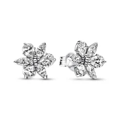 Clous d’Oreilles Pandora Timeless - Herbier Scintillant