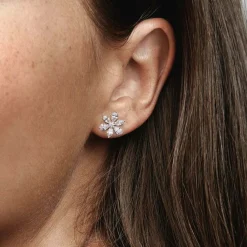 Clous d’Oreilles Pandora Timeless - Herbier Scintillant