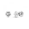 Clous d'oreilles Étoile celeste Pandora Moments