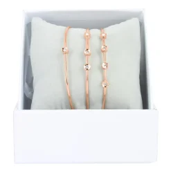 Coffret Les Interchangeables A58669 - 3 Joncs Sertis Fleurs Doré Rose Femme