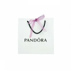 Collier chaîne Pandora Moments classique