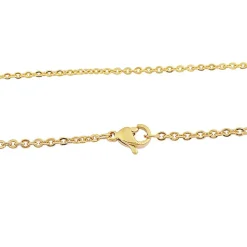 Collier et pendentif Femme Edforce 165-0157-S - Acier Doré