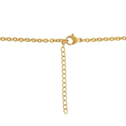 Collier et pendentif Femme Edforce 302-0100-S - Acier Doré