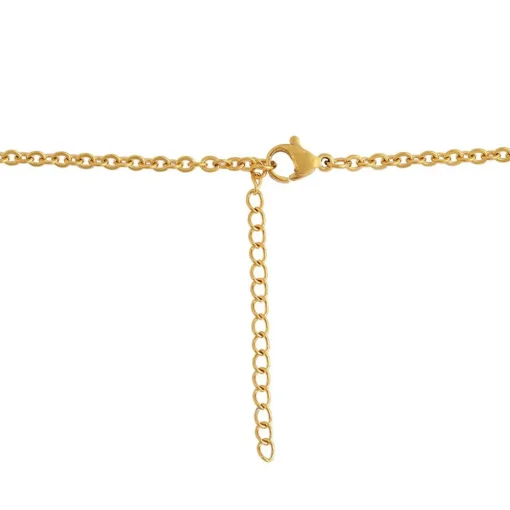 Collier et pendentif Femme Edforce 302-0100-S - Acier Doré