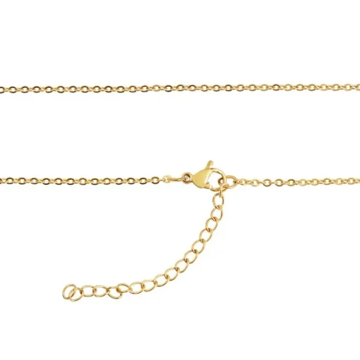 Collier et pendentif Femme Edforce 541-0045-N - Acier Doré