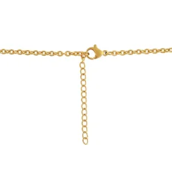 Collier et pendentif Femme Edforce 90-0396-S - Acier Doré