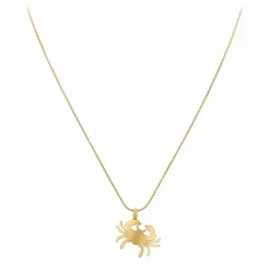 Collier Femme Athème - B2427-CANCER Acier Doré