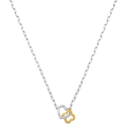 Collier Femme Charles Garnier Bijoux Passion - AGF170209N Argent