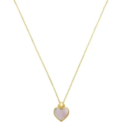 Collier Femme Charles Garnier Bijoux Passion - AGF170164N Argent