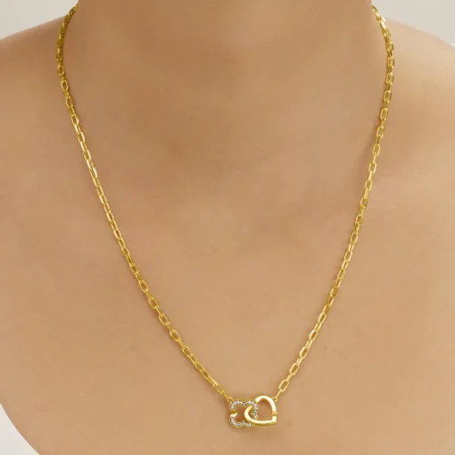 Collier Femme Charles Garnier Bijoux Passion - AGF170155N Argent