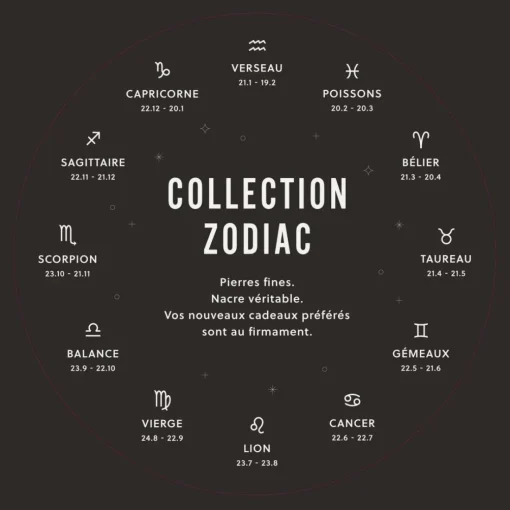 Collier Femme Fossil Bijoux Signes du Zodiaque Poissons - JF04848710 Acier inoxydable