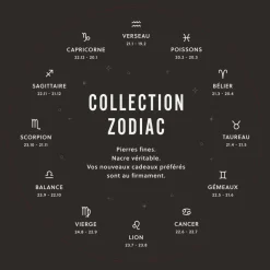 Collier Femme Fossil Bijoux Signes du Zodiaque Capricorne - JF04847710 Acier inoxydable