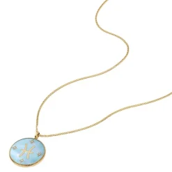 Collier Femme Fossil Bijoux Signes du Zodiaque Poissons - JF04848710 Acier inoxydable