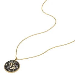 Collier Femme Fossil Bijoux Signes du Zodiaque Capricorne - JF04847710 Acier inoxydable