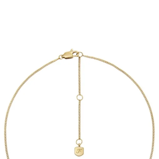 Collier Femme Fossil Bijoux Signes du Zodiaque Capricorne - JF04847710 Acier inoxydable