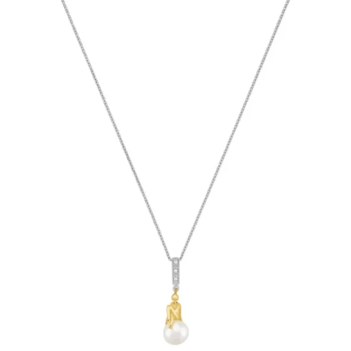Collier Femme Jourdan Luna - AJF170177N Argent