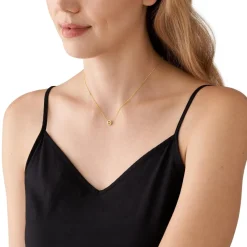 Collier Femme Michael Kors Bijoux - MKC1726CZ710 - Argent Doré