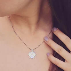 Collier Femme So Charm - BS1409-IRIS - Collier Coeur Argenté