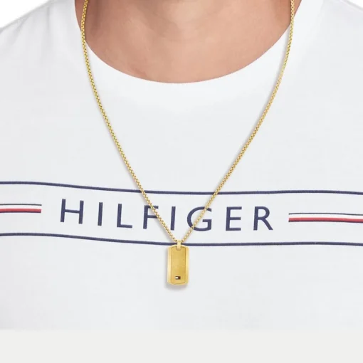 Collier Homme Tommy Hilfiger Jameson - 2790628 Acier Doré