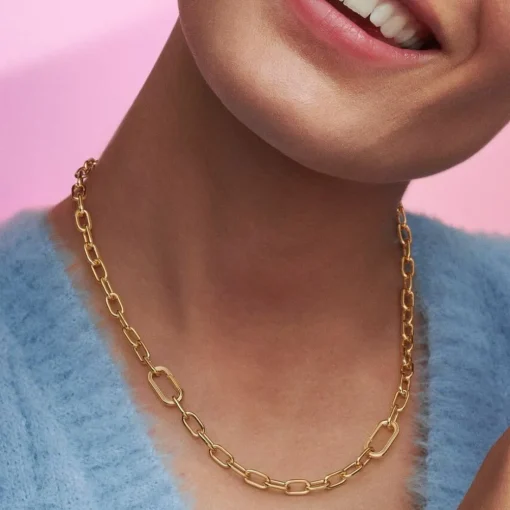 Collier Petit Link Pandora Me