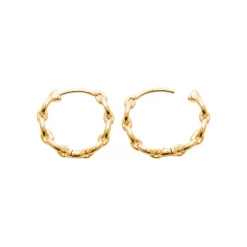 Créoles femme plaqué or 2 mm - Y633W00