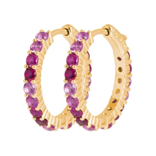 Créoles femme plaqué or teinté serti griffe 2 mm - Y63Y6V0